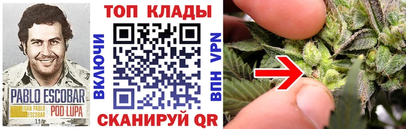 Купить закладку Севск МАРИХУАНА  КОКАИН  А ПВП  АМФЕТАМИН  Гашиш  МЕФ 