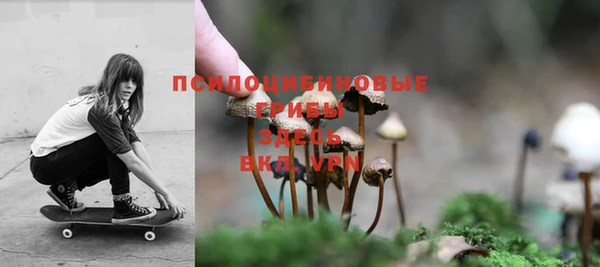 гидра Белоозёрский