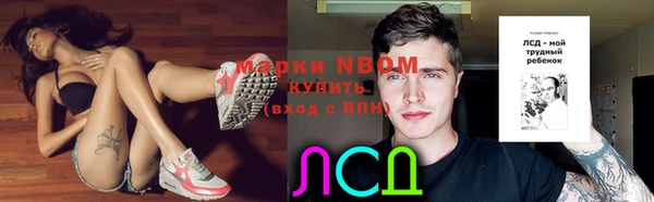 гидра Белоозёрский